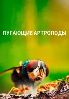  Пугающие артроподы смотреть онлайн тв шоу 1 сезон 